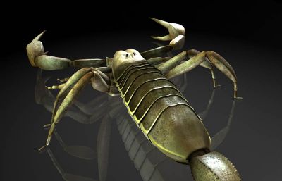 蝎子,木蝎maya写实昆虫模型,有MB,FBX,OBJ等格式