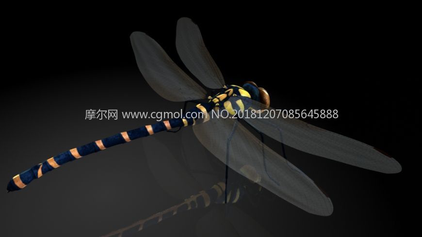 蜻蜓,丁丁,蚂螂maya影视级写实模型,MB,FBX,OBJ格式