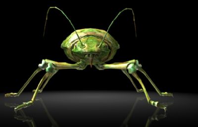 蚜虫,腻虫,蜜虫MAYA影视级写实昆虫模型,MB,FBX,OBJ等格式