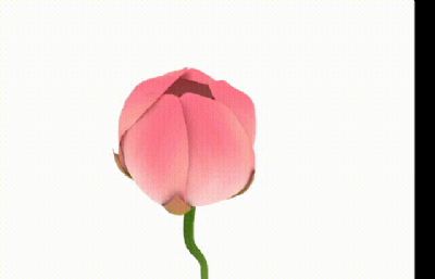 荷花盛开结果动画MAX模型,花苞-盛开-凋零-莲蓬(全过程动画)