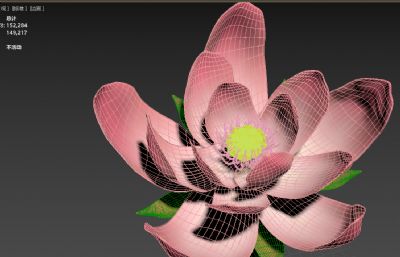 荷花盛开结果动画MAX模型,花苞-盛开-凋零-莲蓬(全过程动画)