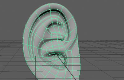 耳朵maya2017模型