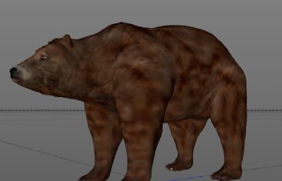 棕熊C4Dr15模型