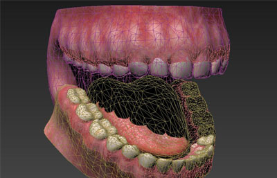 牙齿口腔FBX模型