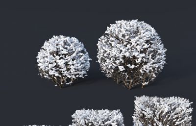 冬天积雪厚的树,灌木雪树max模型,VRAY,corona两个版本