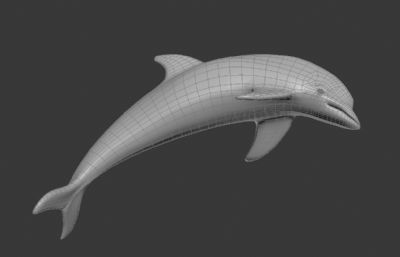 海豚max模型白模