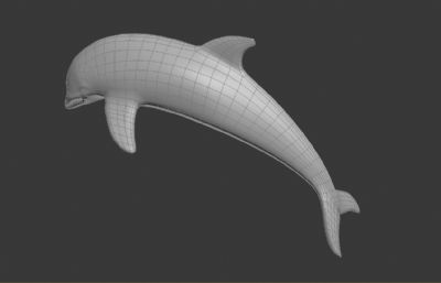 海豚max模型白模