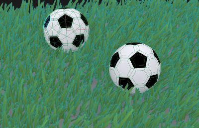 草地上的足球max模型