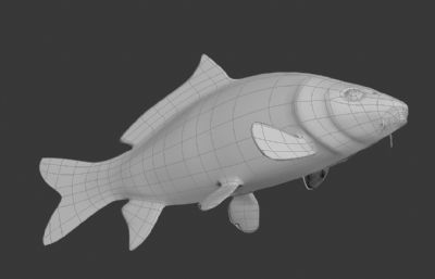 红鲤鱼,金鲤鱼max模型