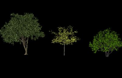 各种形态的树maya模型,无贴图,白模