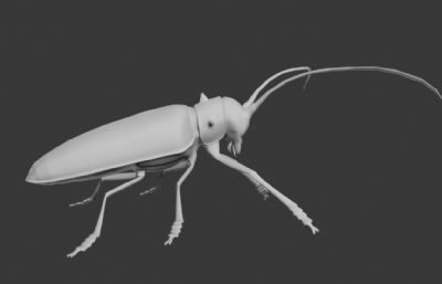 金斑天牛甲虫3D模型
