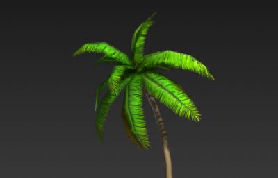 热带椰子树3D简模