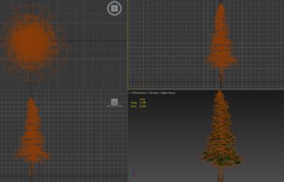 东北森林松树3D模型