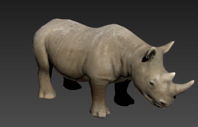 白犀牛3D模型,带行走奔跑动作