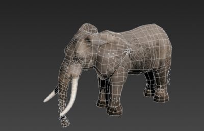 大象3D简模,有行走奔跑动作