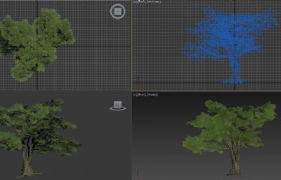 粗壮大树,游戏里的简模树3D模型
