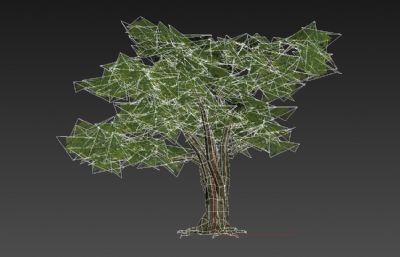 粗壮大树,游戏里的简模树3D模型