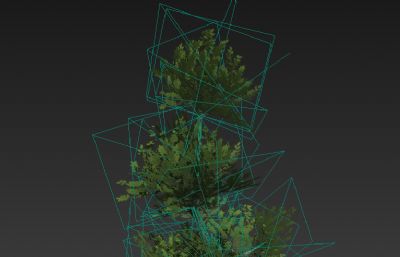 低模树3D模型简模