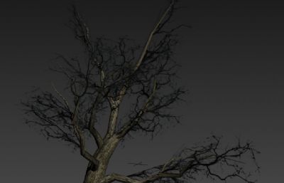 冬季干枯树木3D模型
