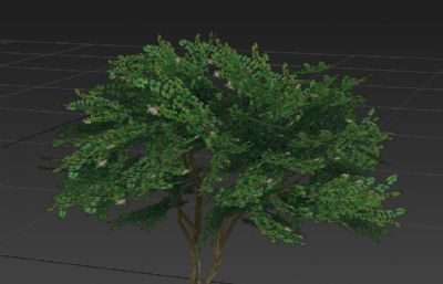 杜鹃花灌木丛3D简模