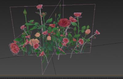 玫瑰花花丛3D简模