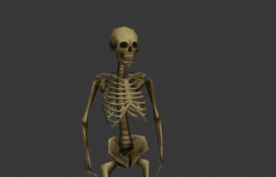 人体骨骼骷髅3D模型低模