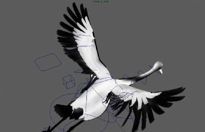 水墨风格飞鹤maya模型,有贴图,有绑定,带振动翅膀动画