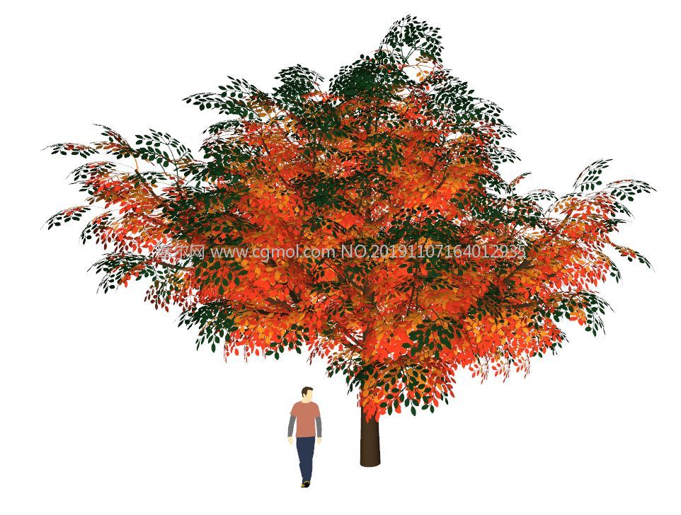 红叶树 秋季树su模型 树木模型 植物模型 3d模型下载 3d模型网 Maya模型免费下载 摩尔网