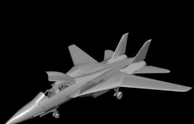 美军f-14战斗机3D模型