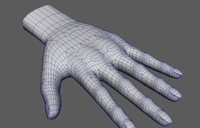 手,女人纤细手掌maya模型