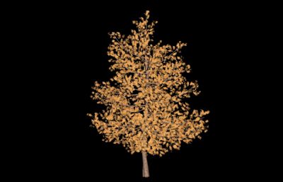 圣诞树,樱花树,松树,黄叶树等6种常见实用的树3D模型