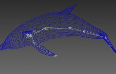游动的海豚3D模型,带摆尾动作