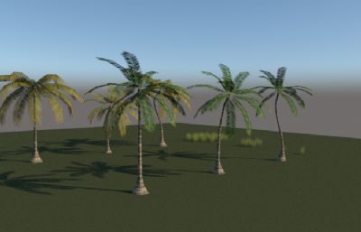 棕榈科树木su模型
