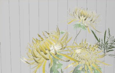 三朵菊花鲜花组合3D模型