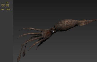 大王乌贼,巨型鱿鱼,枪乌贼3D模型