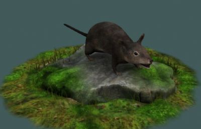 灰老鼠,野鼠四害动物3D模型