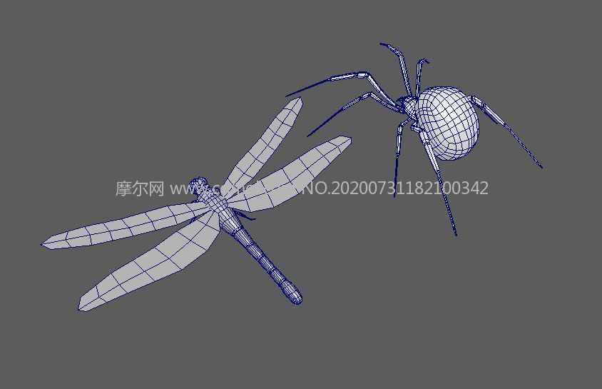 黑寡妇蜘蛛+蓝蜻蜓maya模型,文件有maya,fbx,obj