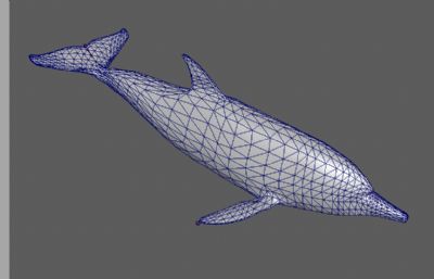 海豚maya模型,MB,FBX,OBJ多种格式