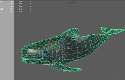 抹香鲸maya模型,文件有maya,fbx,obj