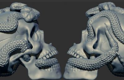 可3D打印的双蛇缠绕骷髅头摆件STL模型