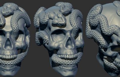 可3D打印的双蛇缠绕骷髅头摆件STL模型