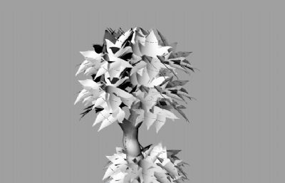 树干盆栽盆景植物模型