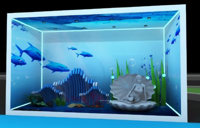 珊瑚,美人贝壳,海草场景的海洋橱窗场景3D模型