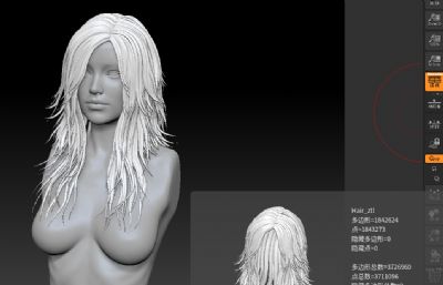 长发美女上半身精细雕刻模型,ZTL,OBJ格式