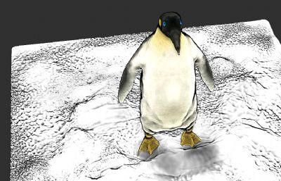 企鹅海洋动物zbrush模型
