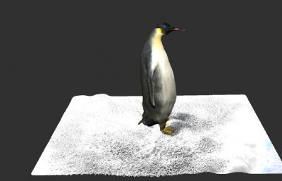 企鹅海洋动物zbrush模型