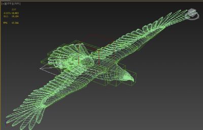老鹰,雄鹰展翅3D模型,带绑定带翅膀飞行动画