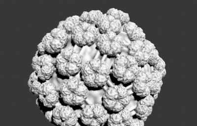 乳头瘤病毒,HPV病毒3D模型,附3D打印stl文件（严格按照医学理论外观制作）