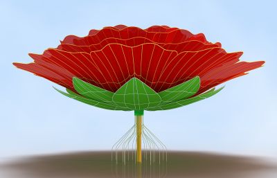 牡丹花,红花,鲜花3D模型