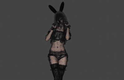 Bunny Girl兔女郎,性感兔子服装女生女孩3D模型,带绑定,有贴图(网盘下载)